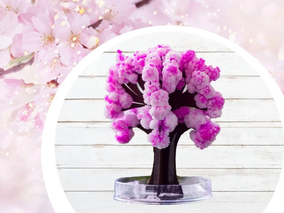 Zaparkorun Magický strom Sakura - náhled 5