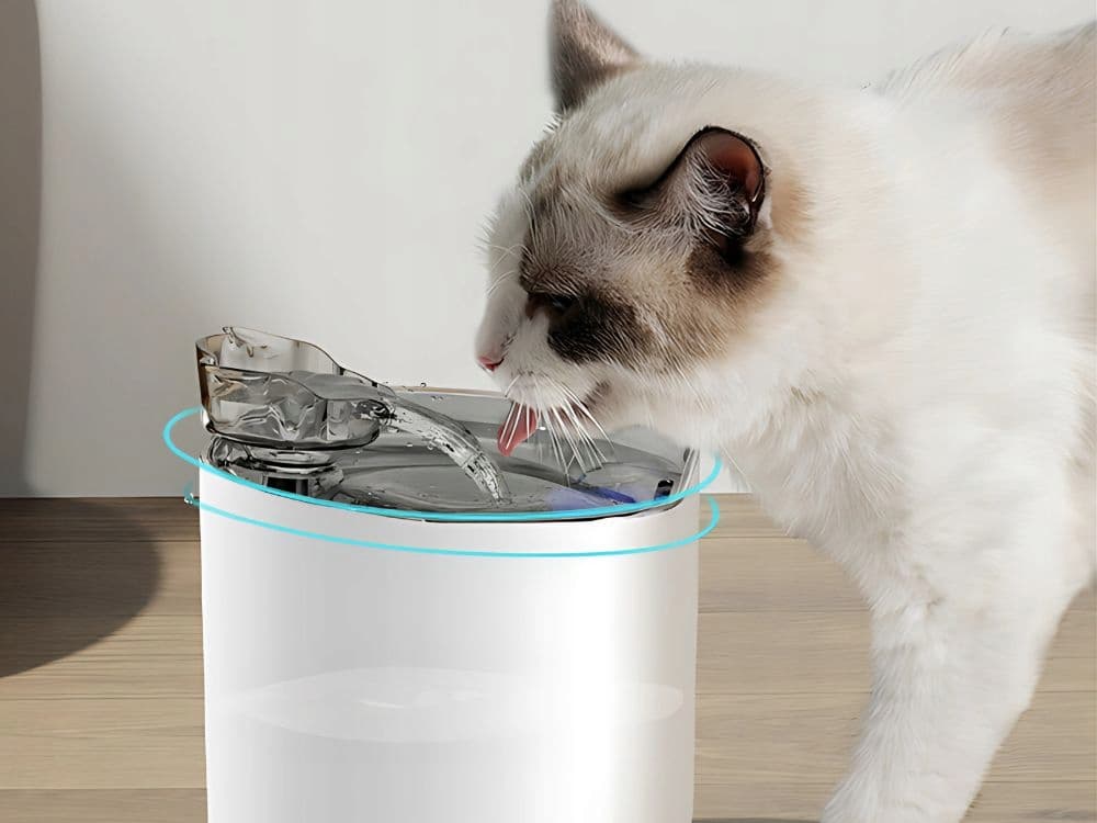 Inteligentní automatická fontána pro domácí mazlíčky VERK - 2 l - náhled 5
